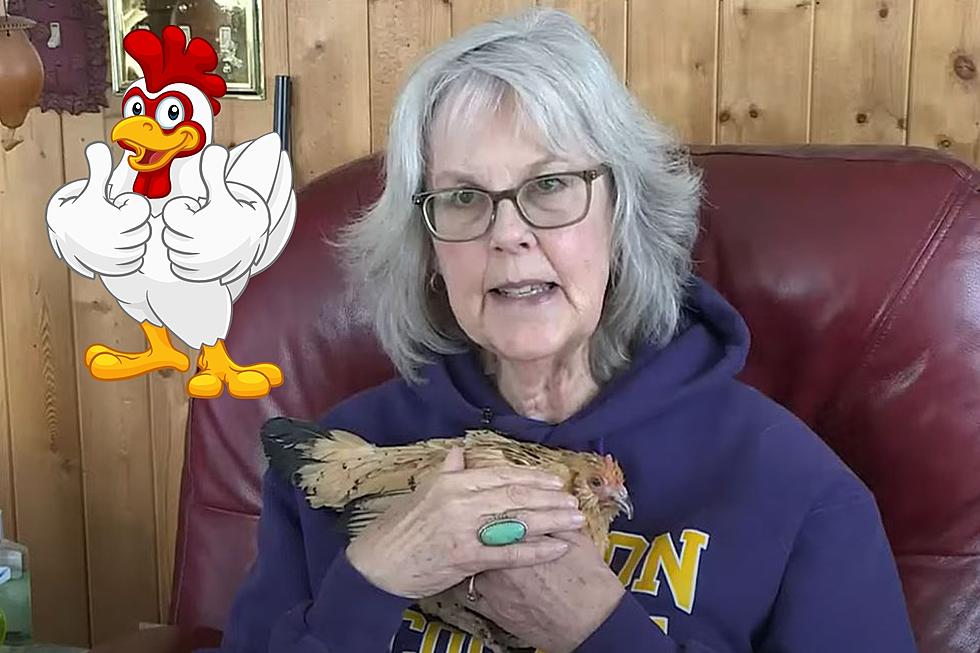 The World’s Oldest Chicken Lives Right Here in Michigan