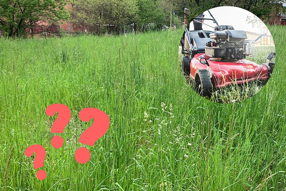 Can You Mow Your Neighbor&#8217;s Lawn Without Permission in Michigan?