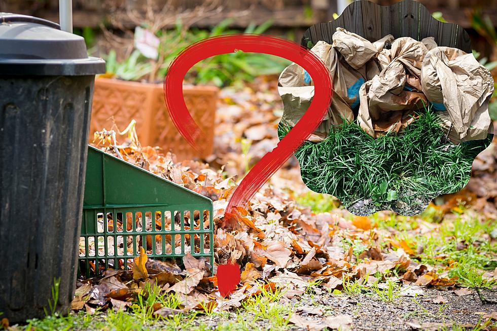 Is It Illegal to Throw Yard Waste in the Trash in Michigan?