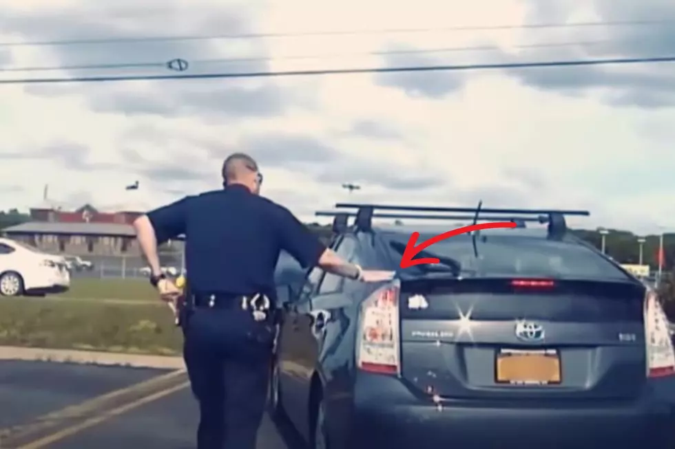 Why Michigan Police Officers Touch Your Car During a Traffic Stop