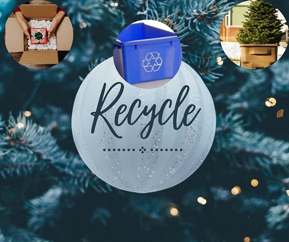 Where to Recycle Your Cardboard and Christmas Trees