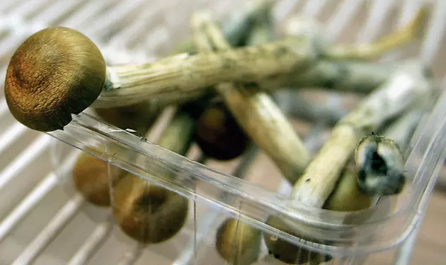 Magic Shrooms Could Be Made Legal in Washington State for People Over 21 If This Bill Passes