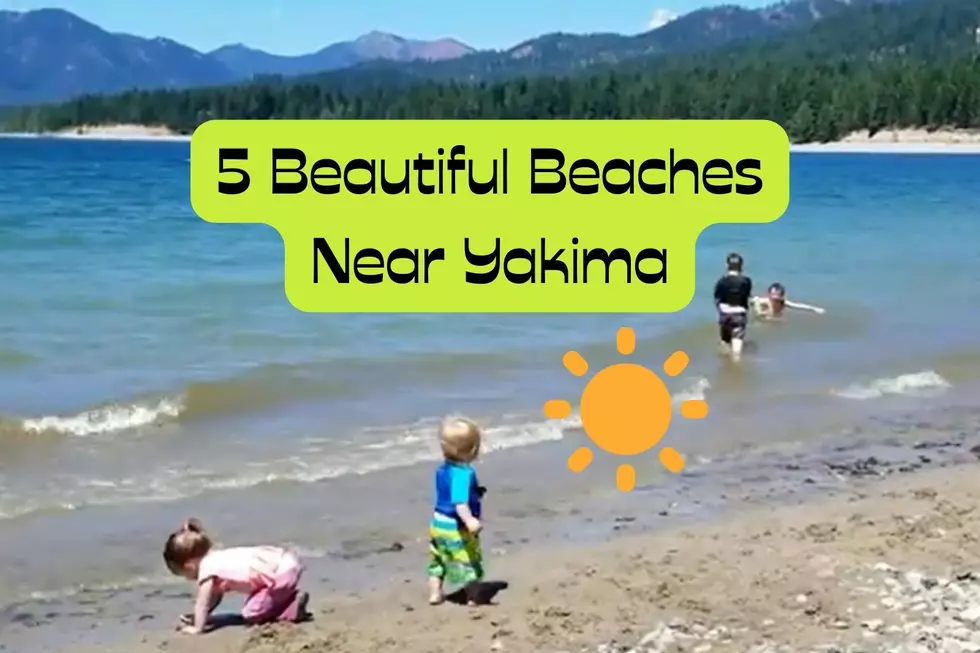 The 5 Closest Beautiful Beaches Near Yakima: An Hour Away or LESS