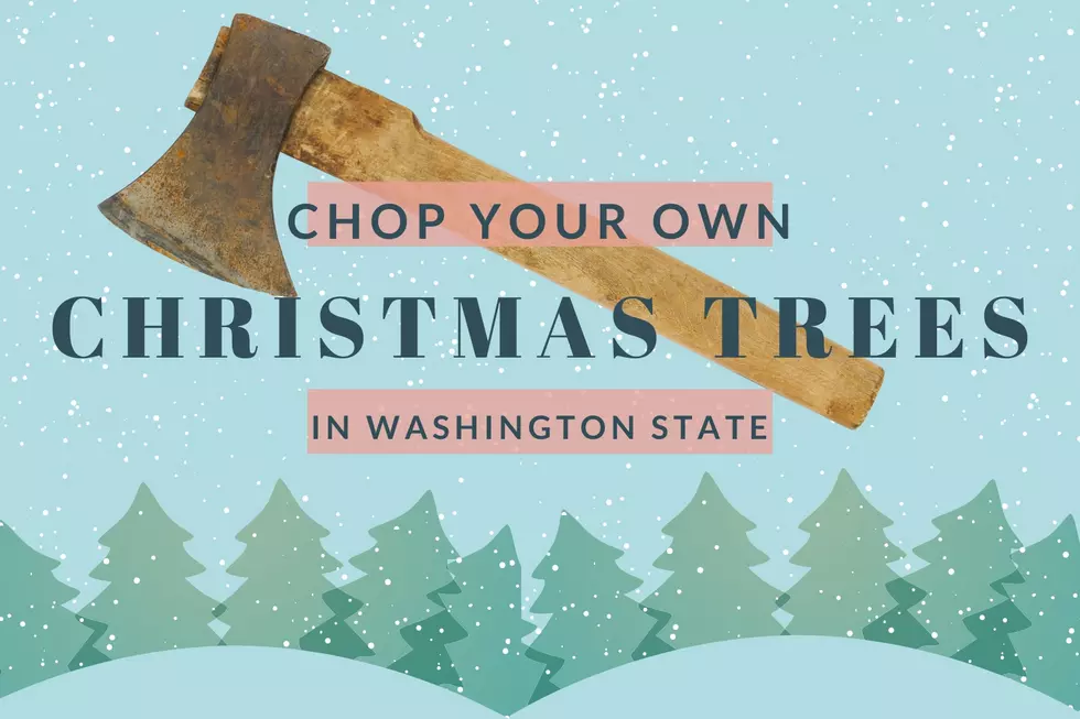 6 Places It Is Legal to Chop Your Own Christmas Tree in WA