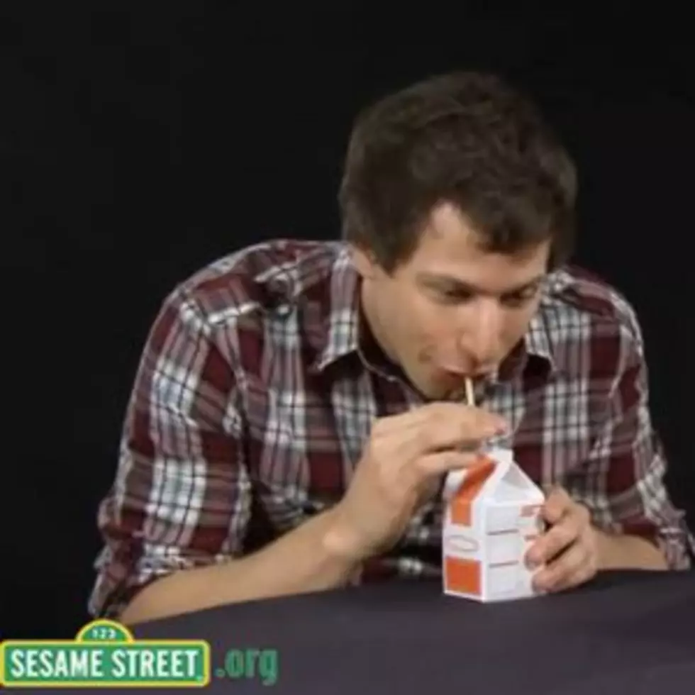 Sesame Street&#8217;s Bert Sits Down With Andy Samberg [Video]