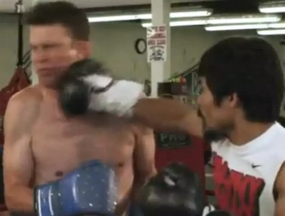 Daniel Tosh Punched By Manny Pacquiao [Video]