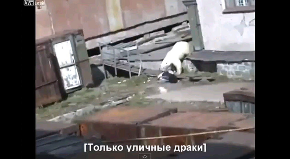 Polar Bear Attacks Lady That Poops In Public [Video]