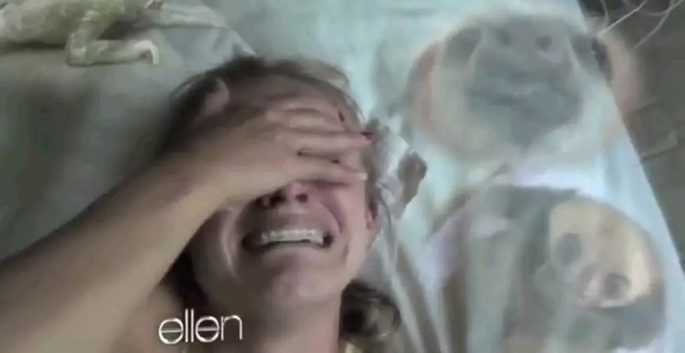 Kristen Bell’s Sloth Love Gets An Auto-tune Remix [Video]