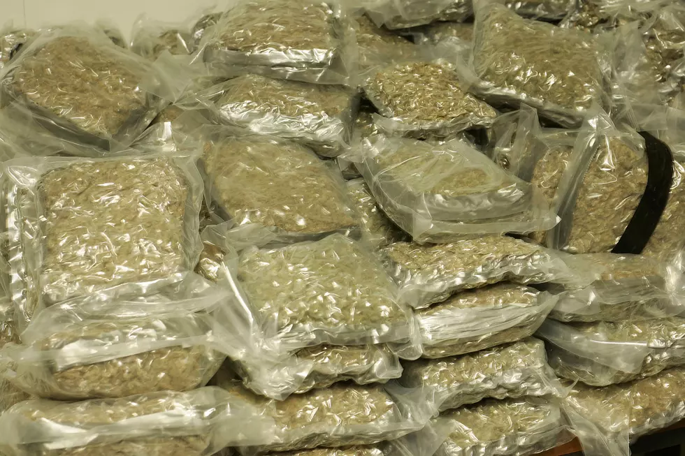 Flint Man Finds Two Garbage Bags of Marijuana in Driveway