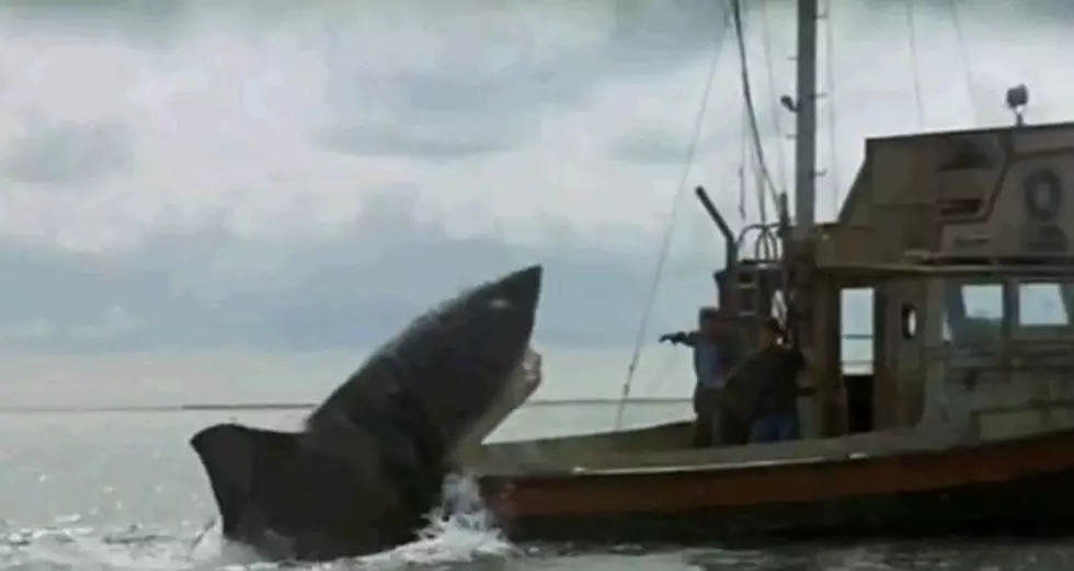 Great Movie Shark Attacks For &#8216;Shark Week&#8217; [Video]