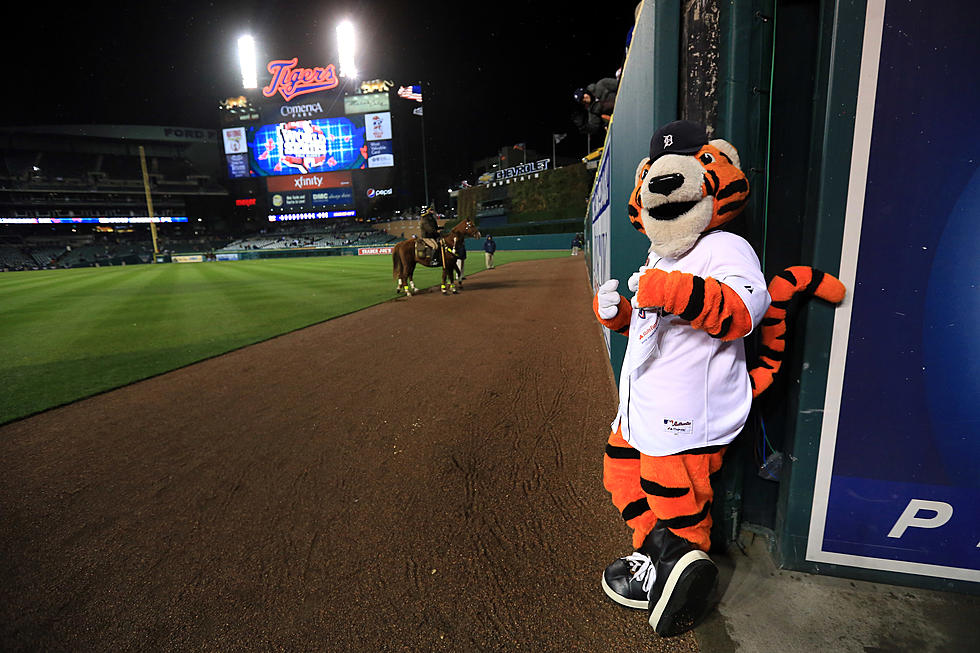 ‘TigerFest 2013′ Will Feature All Of The Detroit TIgers Stars