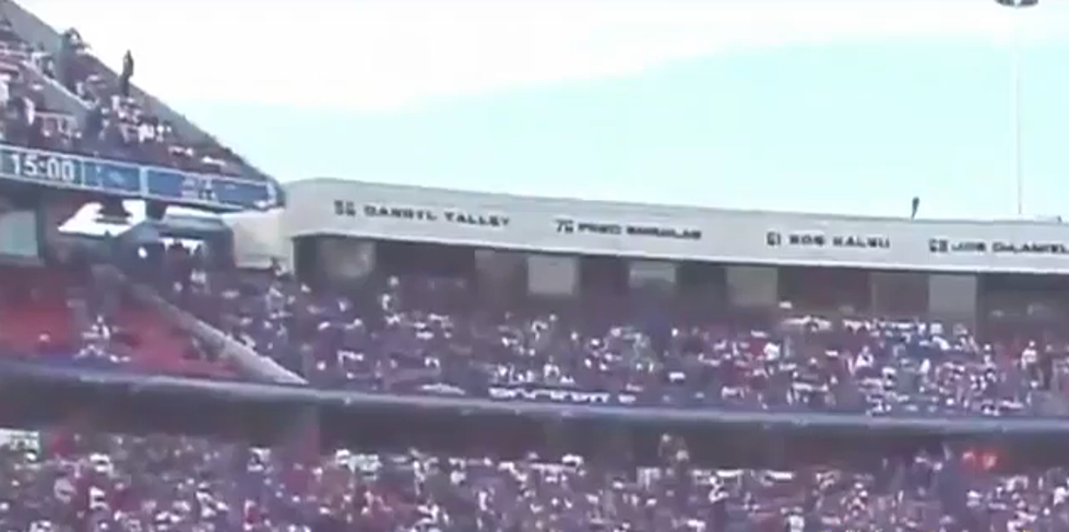 Buffalo Bills Fan Falls from Upper Deck After Playing Around on Guard Rail