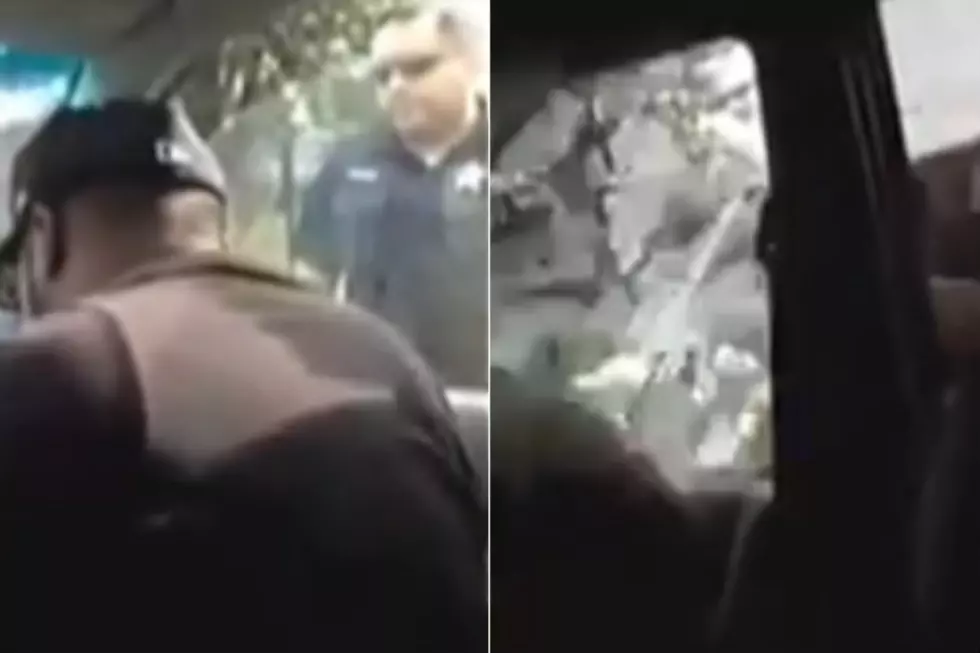 Police Smash Car Window and Taser Passenger Over Seatbelt Stop [Video]