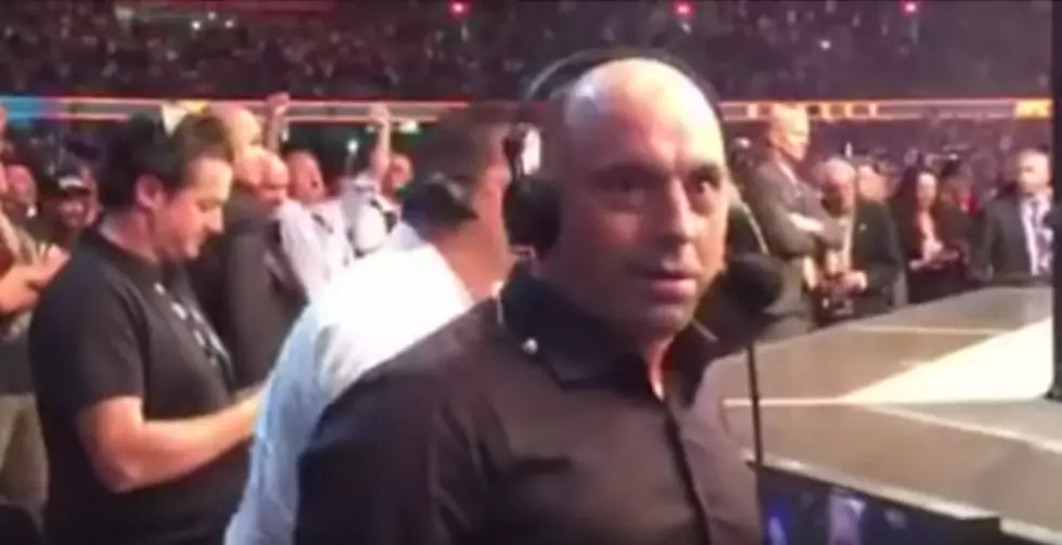 Ronda Rousey Getting Knocked Out Leaves Joe Rogan Speechless For The First Time Ever [Video]