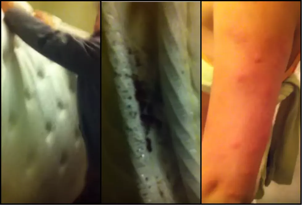 Couple Finds Massive Bed Bug Infestation Under Mattress At Manhattan Hotel [Video]