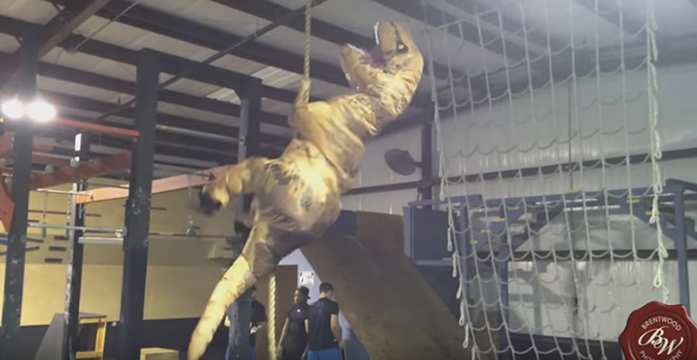 T-Rex Training For American Ninja Warrior Is Comedy Gold [Video]