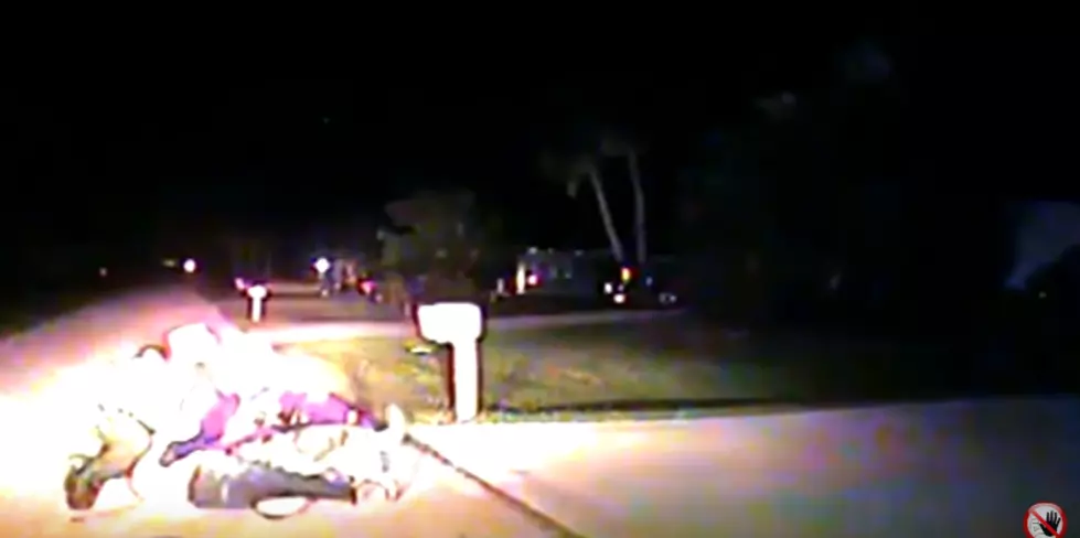 Dashcam Footage Shows Cop Allowing K9 To Maul Man For Several Minutes [Video]