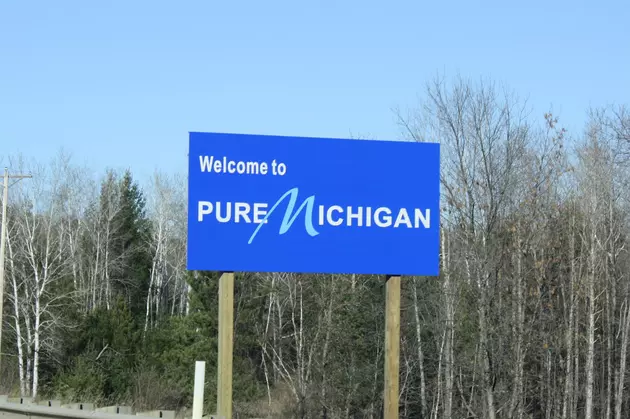 Michigan Stands Above All Other States In New Ranking