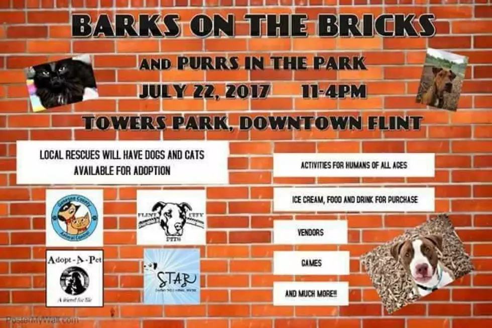 Genesee County Animal Shelter Hosting ‘Barks On The Bricks’ This Weekend