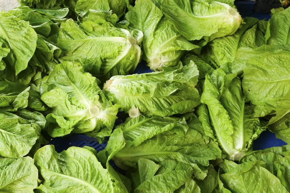 Michigan Residents Warned Not To Eat Any Romaine Lettuce