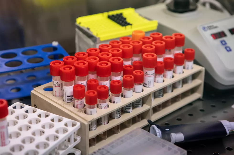 Michigan Getting More Coronavirus Test Kits