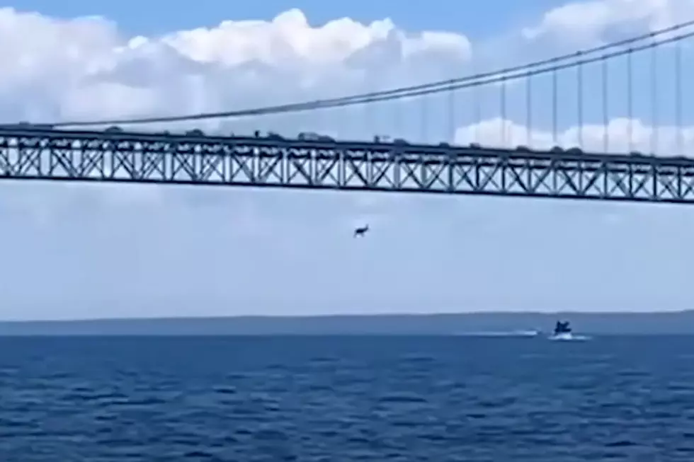 Coast Guard Looking For Pilot That Flew Under The Mackinac Bridge
