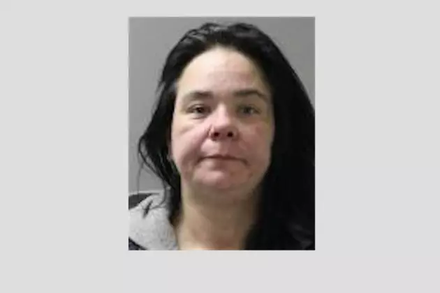 Police Charge 2, Including Teen, With Theft of Over $1,000 Each