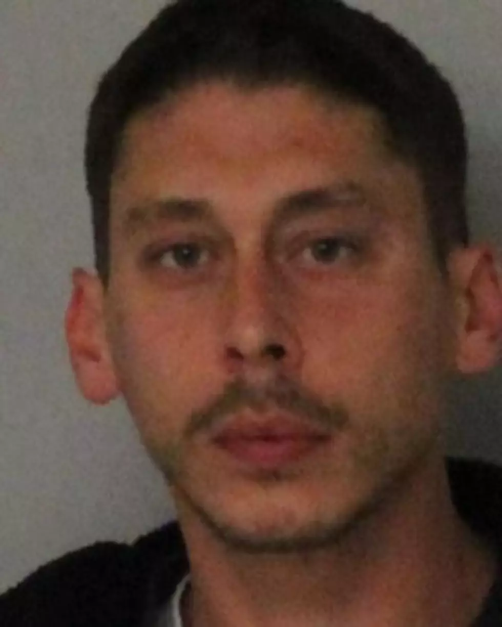 Prison Sentence for Hudson Valley Man Who Killed Girlfriend’s Dog