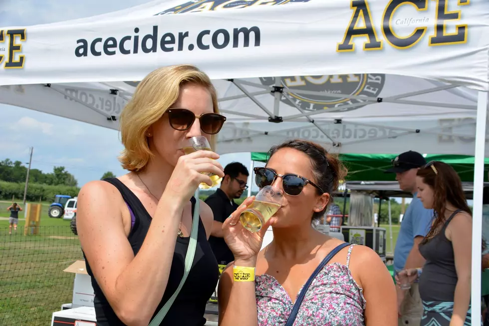Hudson Valley Cider Festival Crowd Cools Off With Crisp Flavor Offerings