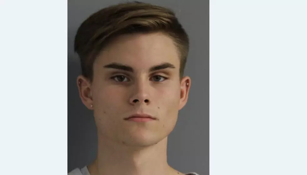 Dutchess County Teen With Alleged Criminal Past Arrested for Drug, Weapon Possession