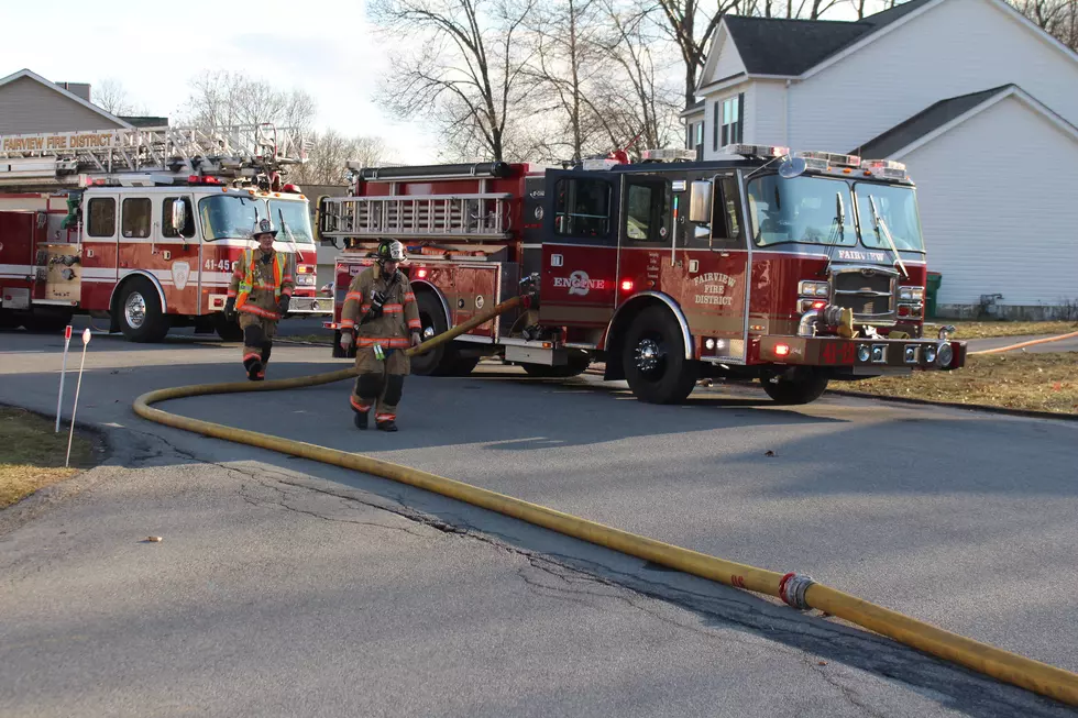 Turtles Help Hudson Valley Firefighters Extinguish Blaze