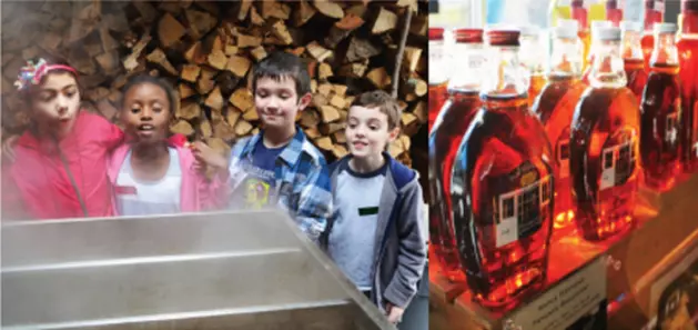 Fresh Air Fund&#8217;s Sharp Reservation Hosts 14th Annual Sugar Maple Celebration