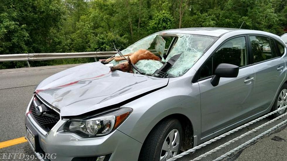 Deer Crashes Into Car Windshield On I-84