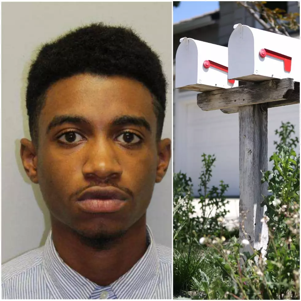 Teen Accused of Cashing Checks Stolen From Mailboxes in Carmel, Putnam Valley + More