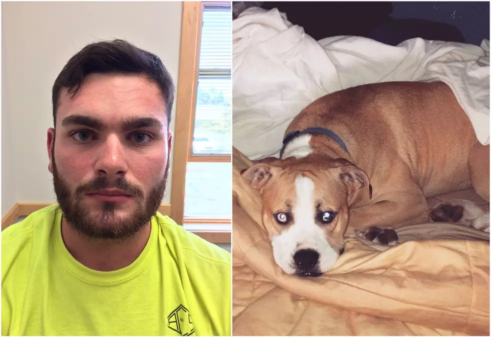 Hudson Valley Man Arrested After Dog Shot To Death