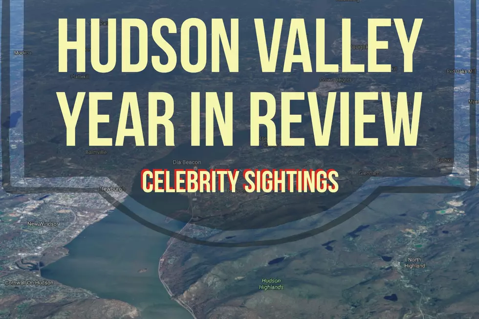 Year in Review: Hudson Valley Celebrity Sightings