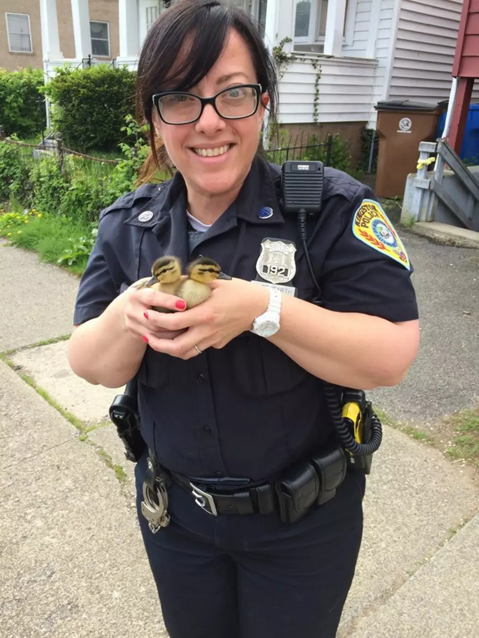 Hudson Valley Police Officer Rescues 5 Ducklings