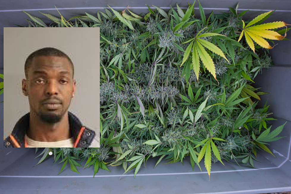 Police: Man Found in Hudson Valley With Nearly 4 Pounds of Weed