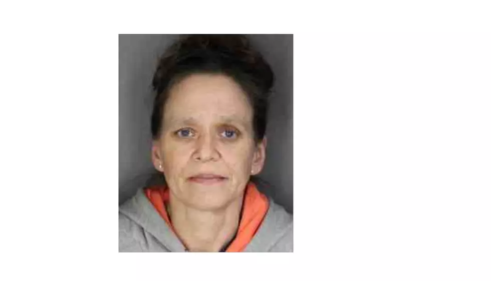 Hudson Valley Caregiver Accused of Stealing From Elderly