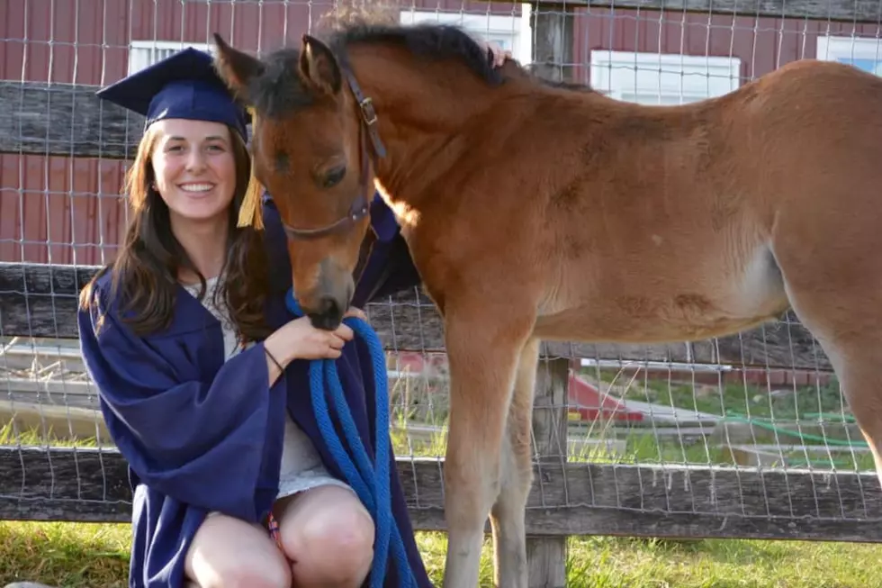 College Equestrian Team Captain Killed in Horse Riding Accident