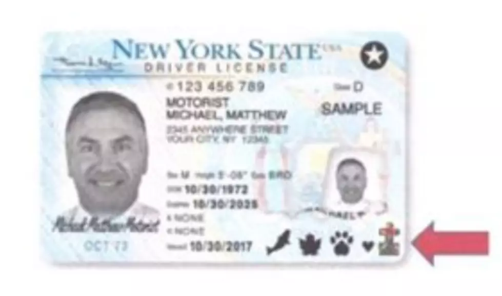Local Family Leads Charge to Put Autism Symbol on NYS Licenses 