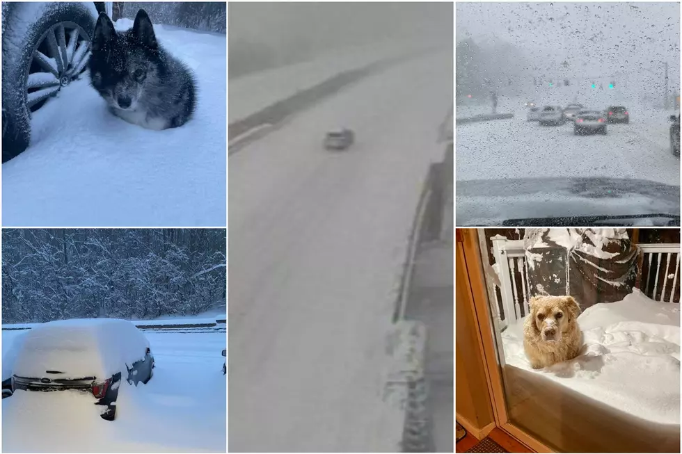 25 Insane Photos of Snowstorm in the Hudson Valley