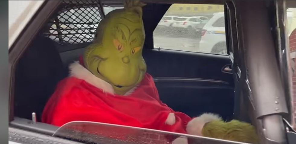 Grinch Tried to Steal Cheer in New York Arrested In Hudson Valley