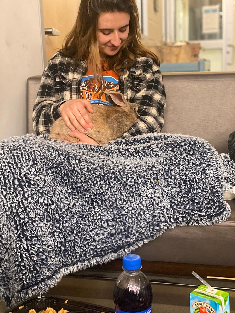 Sleepover!  DCSPCA Staff Spend Night At Shelter During Storm