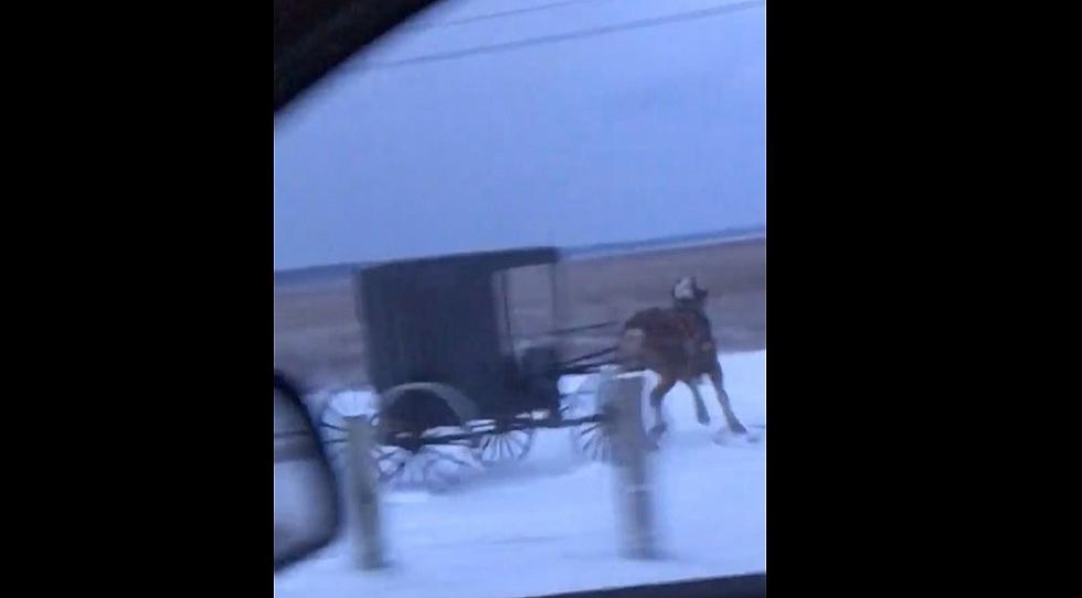 Must See:  ‘Amish Buggy Ripping Donuts’ in New York State