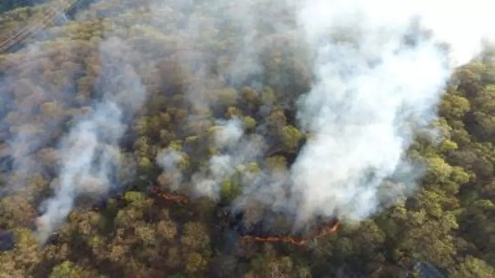 Wildfire at Harriman State Park is ‘Largest’ in Hudson Valley in 2022