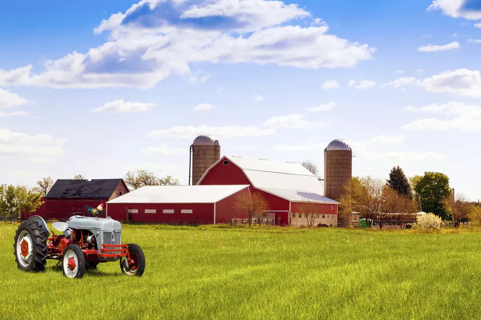 Nearly 70 Upstate New York Farms Getting Money For Climate Change