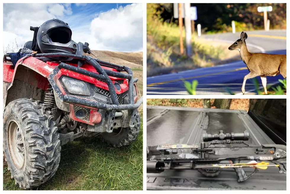 New York Hunter Illegally Kills Deer With ATV, Crossbow in HV