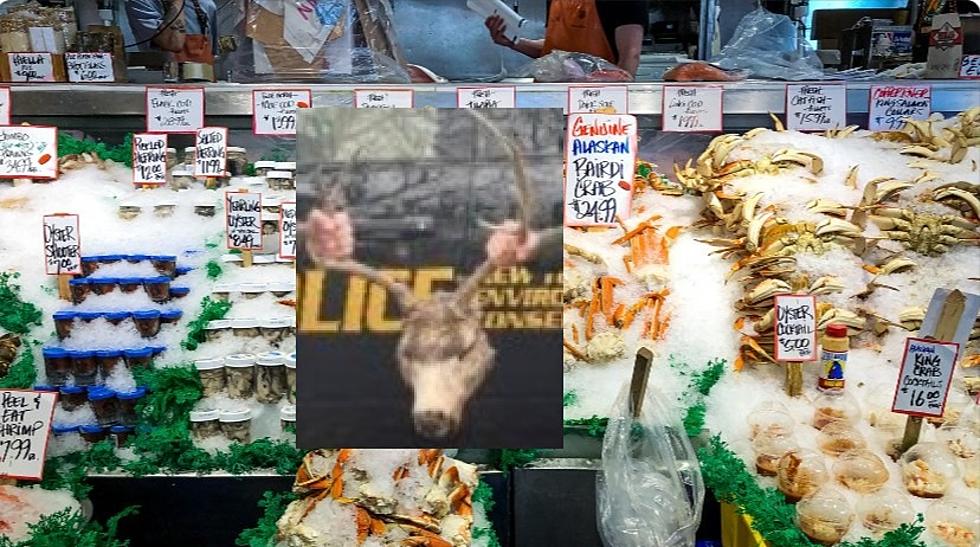 Shocking ‘Zombie’ Discovery Made At New York State Seafood Store