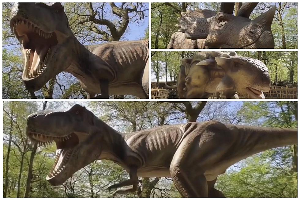 Enorme parque temático de dinosaurios de 'clase mundial' planeado